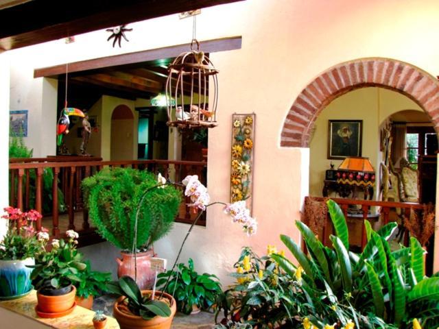 Bed and Breakfast Hacienda El Pinar Del Viento Villa de Leyva Exterior foto